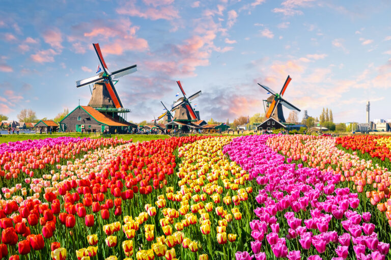 Hotels in Netherlands