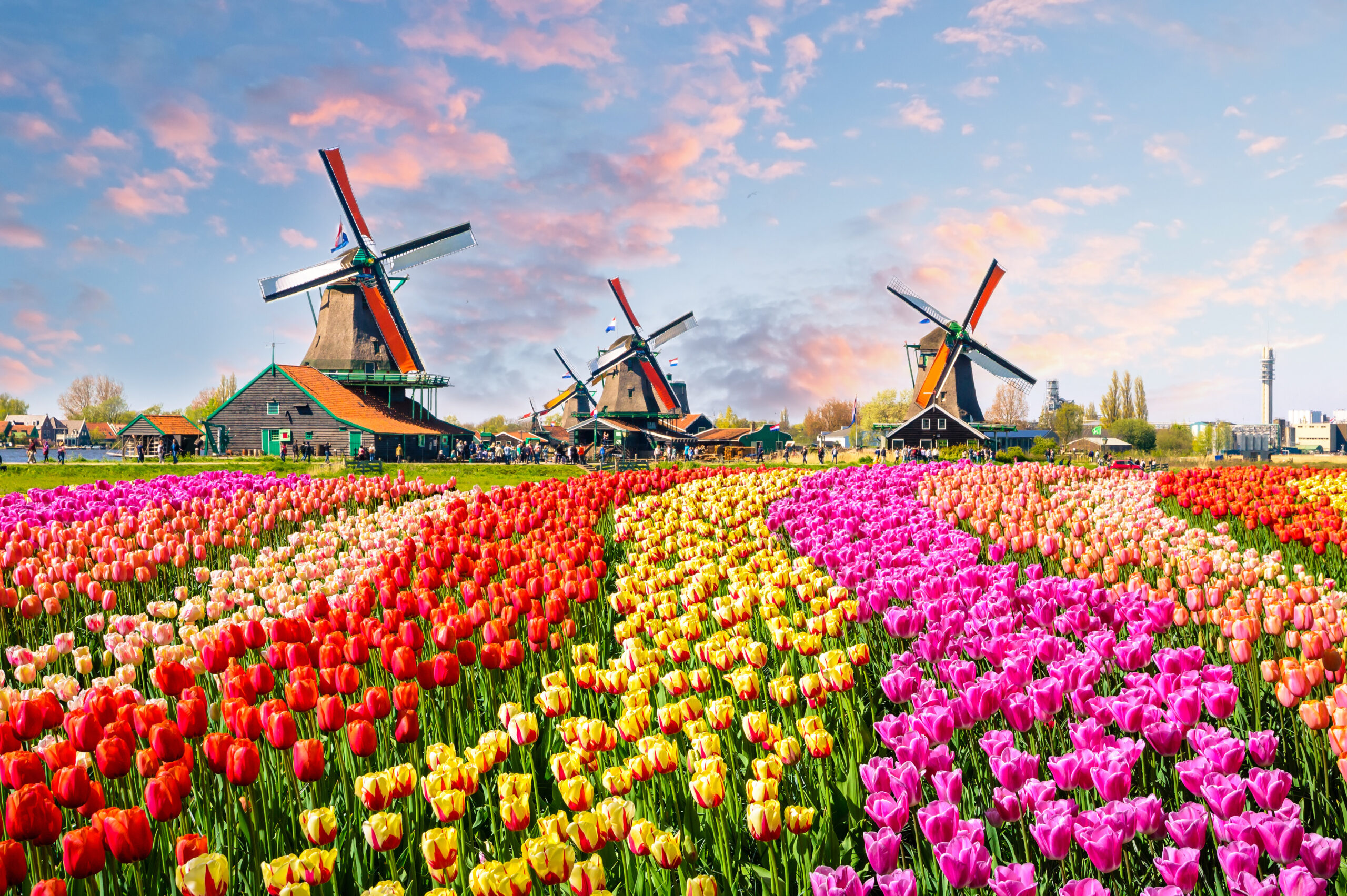 Hotels in Netherlands