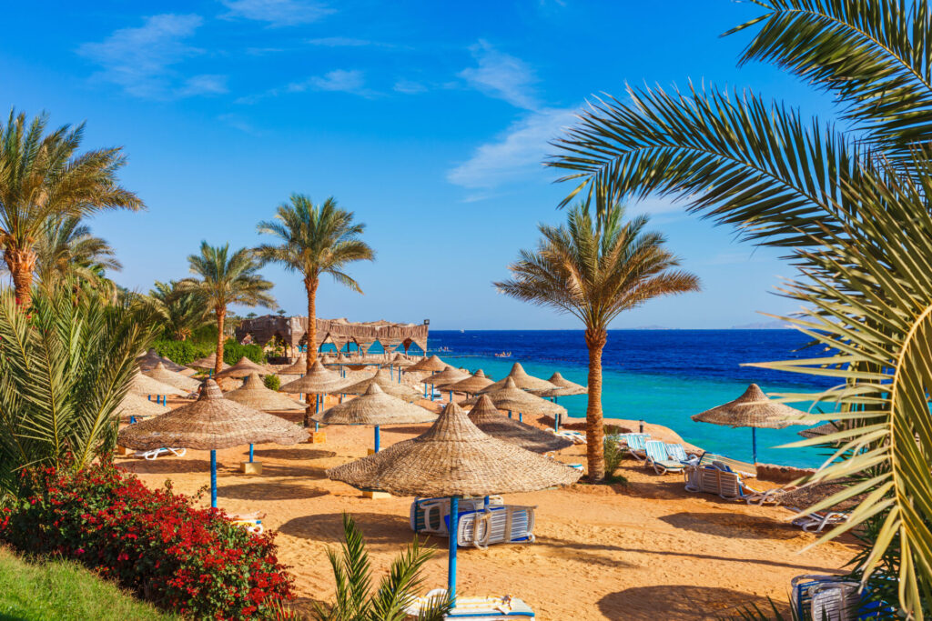 A beach on the coast of the Red Sea, Sharm El Sheikh