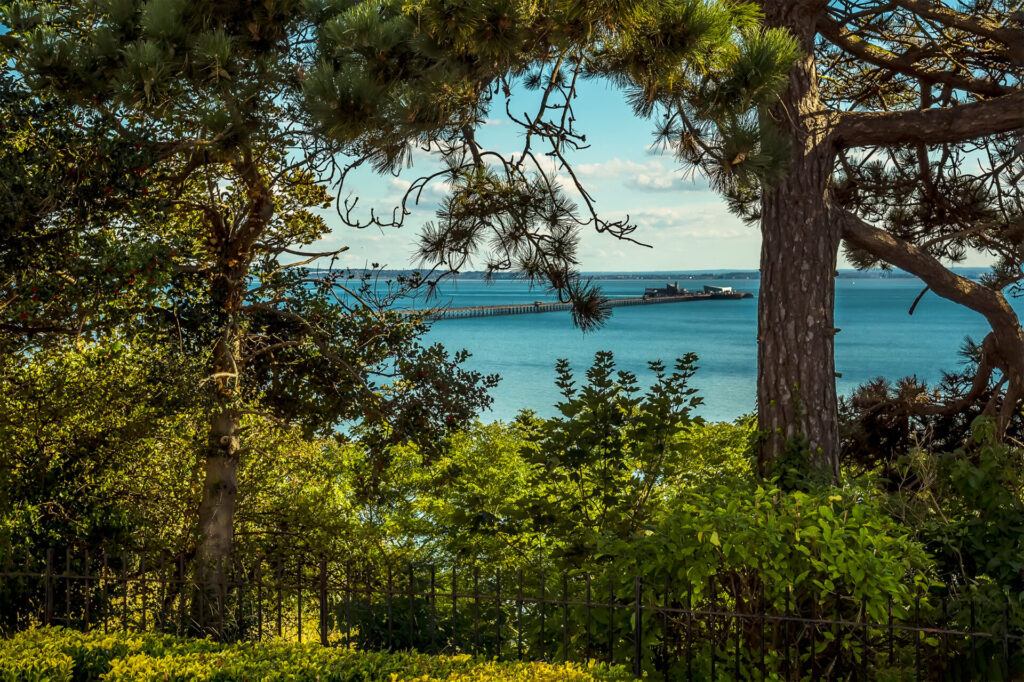 A view of the longest pleasure pier in the world from through a gap in the trees
