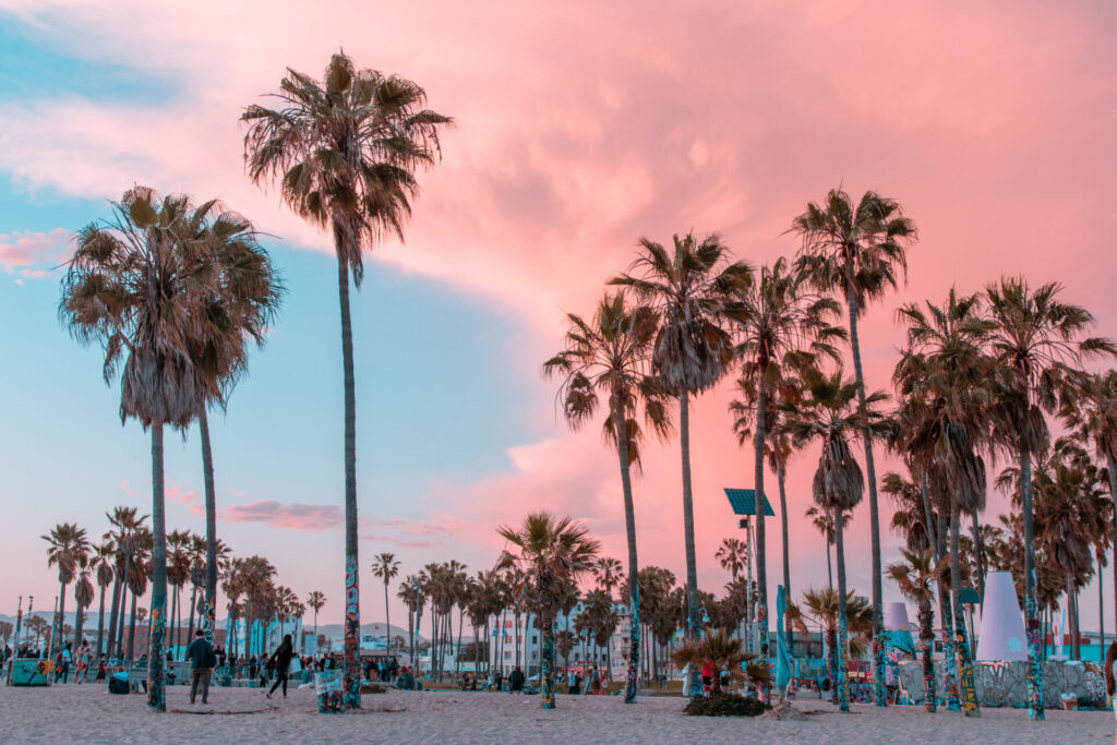 Palm trees and pink skies at Venice Beach