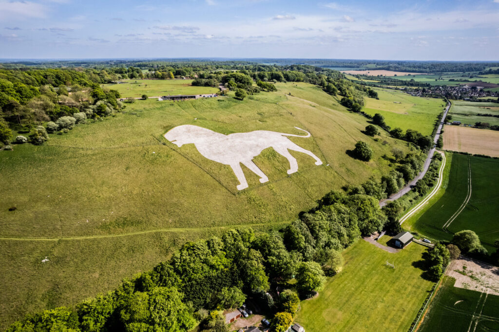 The Whipsnide White Lion, etched into the nearby Dunstable Downs