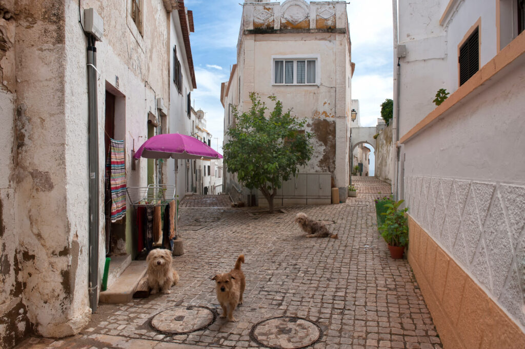 One of Albufeira's rustic, narrow streets
