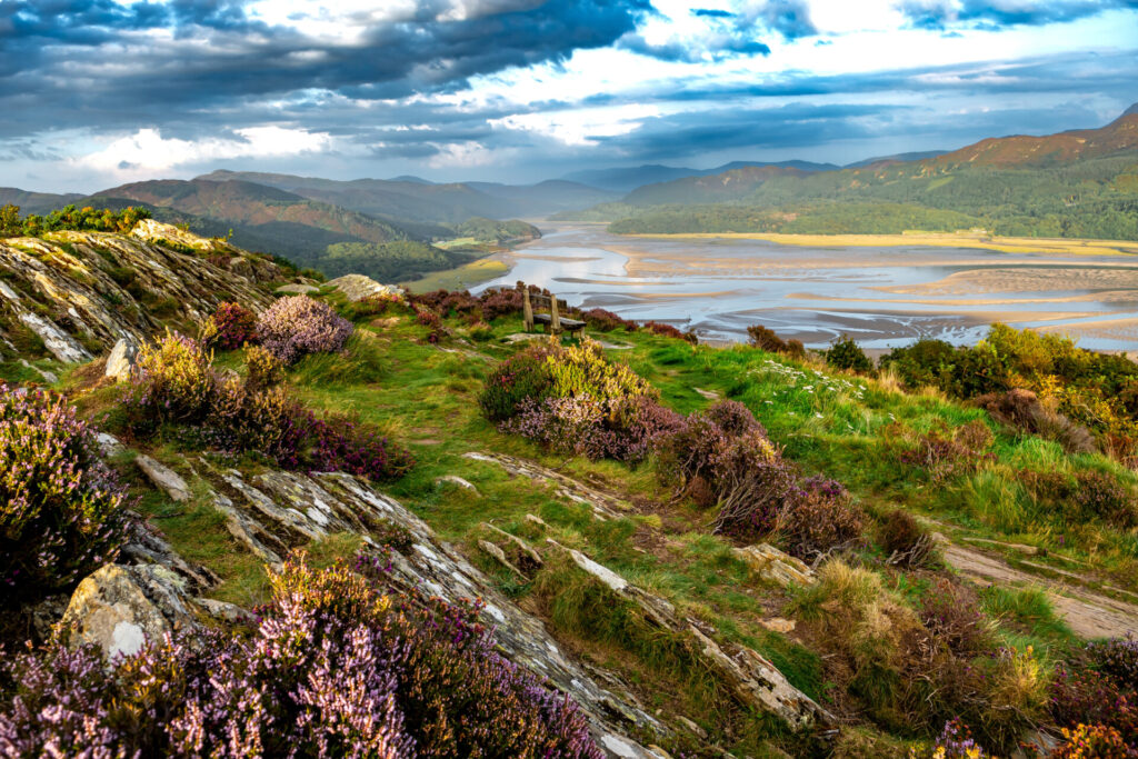 Mawddach River Estuary In Snowdonia National Park Near The City Of Barmouth In Wales, United Kingdom